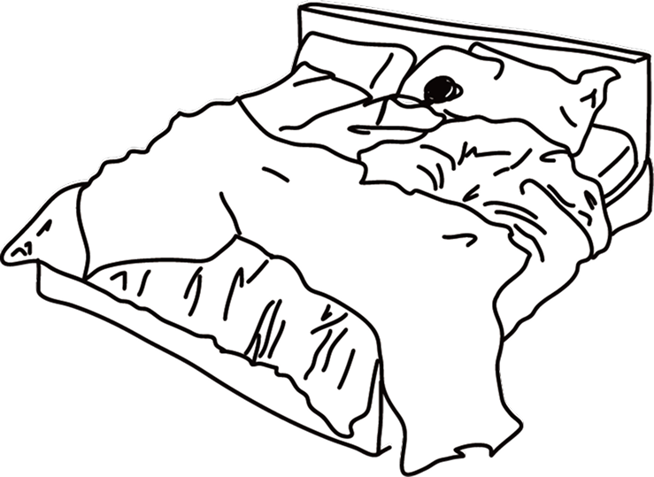 Bed of white web room